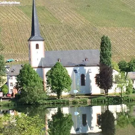 Restful In Near River Moselle * Neumagen-Dhron
