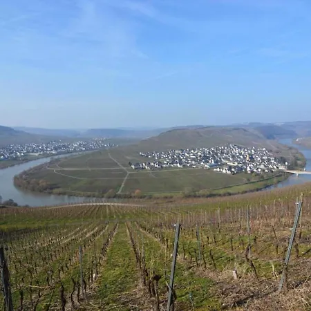 Moselblick * Neumagen-Dhron