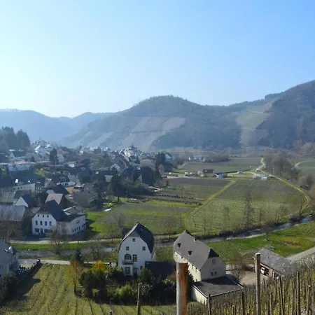 Moselblick Apartament Neumagen-Dhron