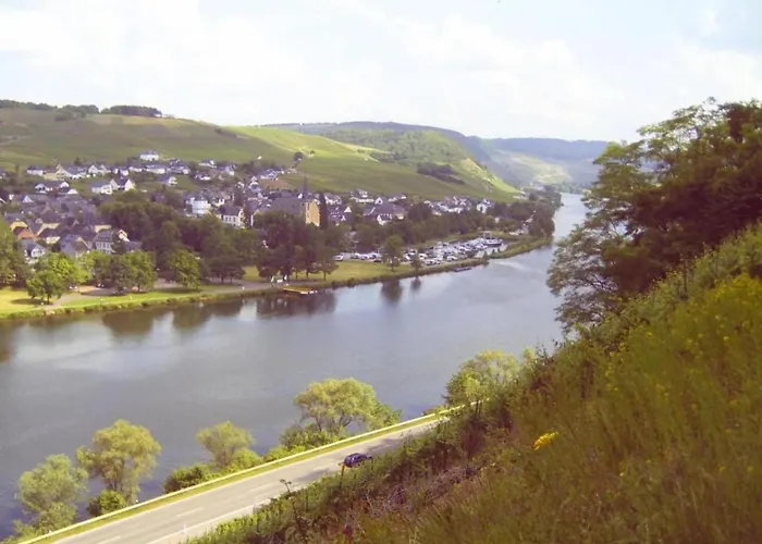 Moselblick * Neumagen-Dhron