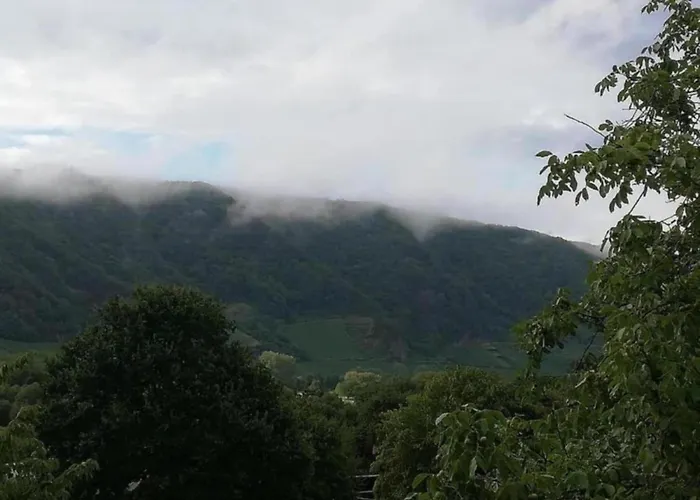 Moselblick Apartmán Neumagen-Dhron