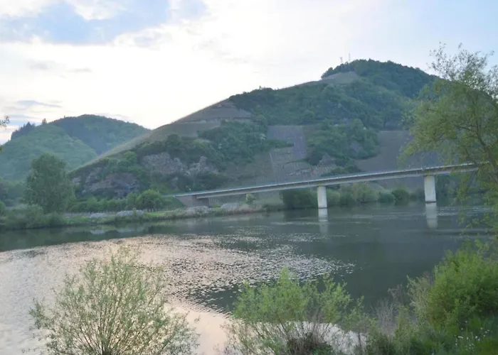 Moselblick * Neumagen-Dhron